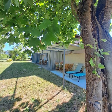 Gites De L'Akwaba Buzet-sur-Baise Екстериор снимка